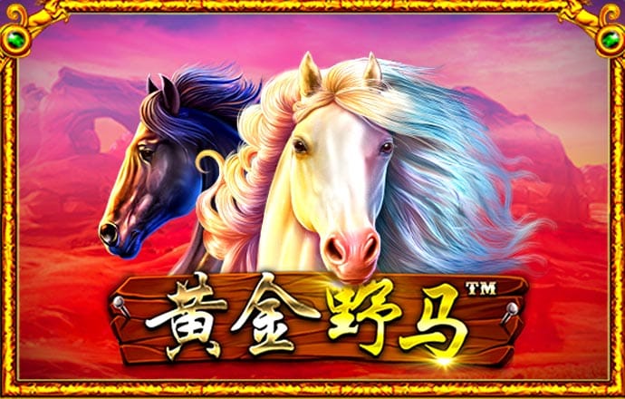 365速发国际有多少年了